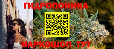 прущие крисы Краснодар