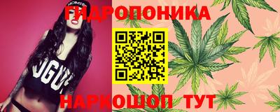 прущие крисы Краснодар