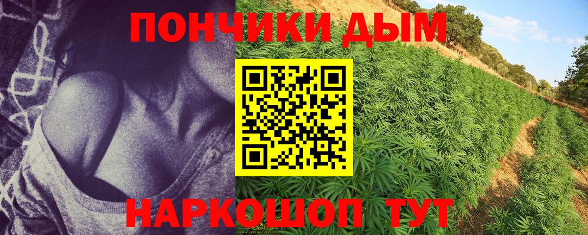 Каннабис ГИДРОПОН  Бошки Шишки OG Kush  Краснознаменск  Конопля планчик  Вход с VPN 